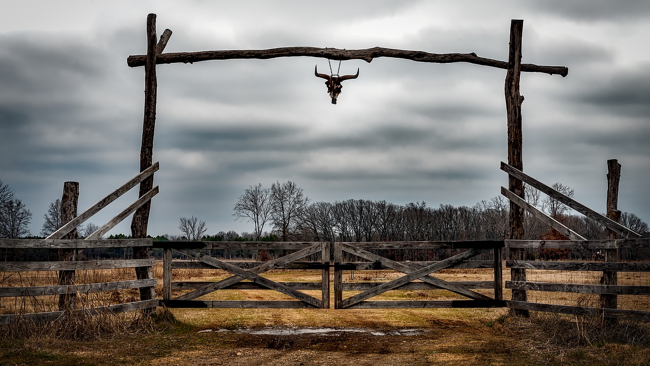 Texas, Ranča, Įėjimas, Tvora, Karvės Kaukolė, Hdr, Dangus, Debesys, Kraštovaizdis, Ūkis