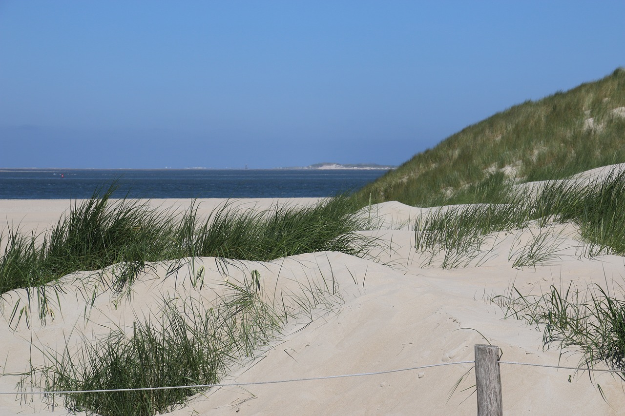 Texel, Papludimys, Holland, Šiaurės Jūra, Prie Jūros, De Cocksdorp, Nemokamos Nuotraukos,  Nemokama Licenzija