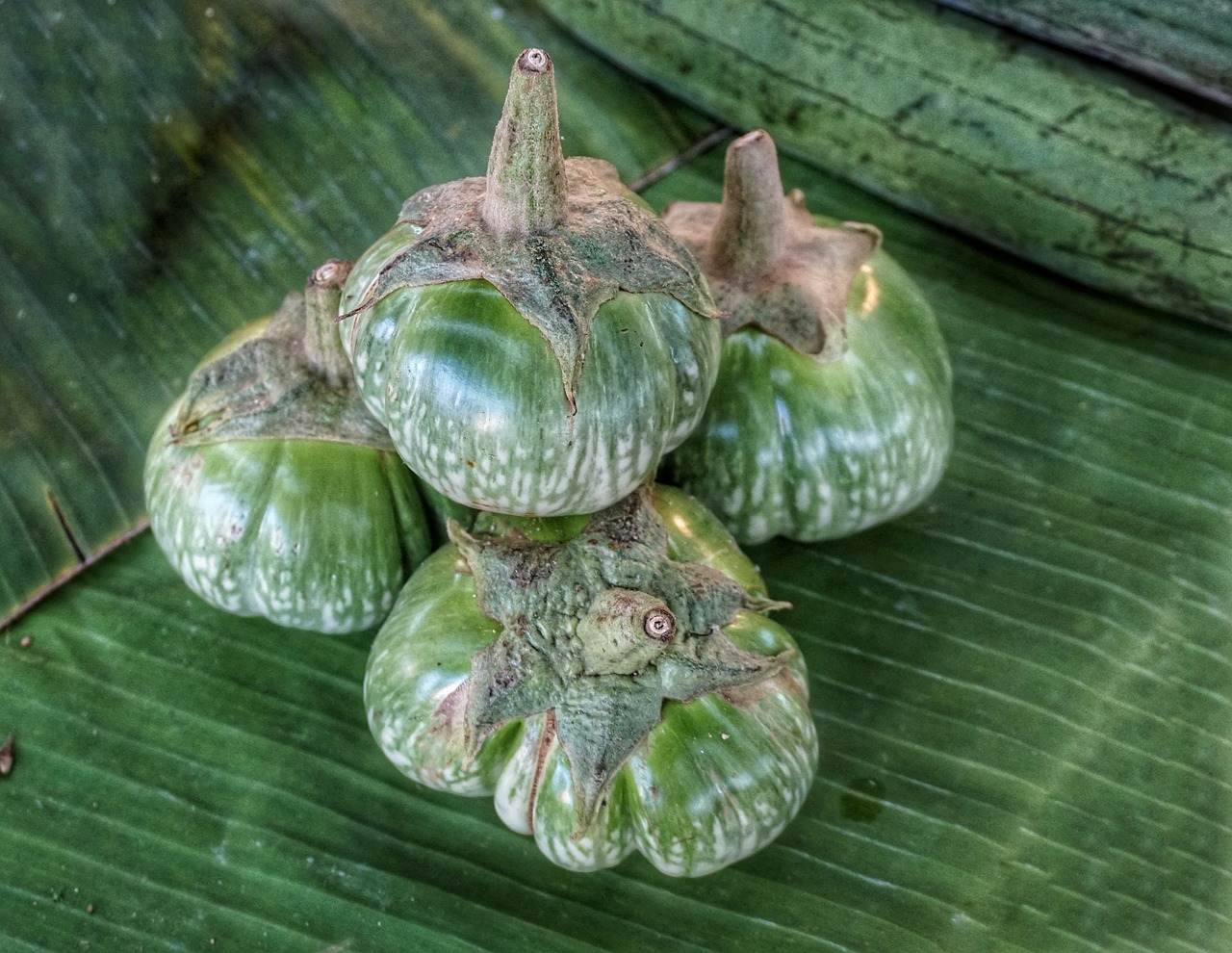 Tajų,  Baklažanas,  Žalias,  Daržovių,  Virimo,  Augalas,  Maistas,  Stalinis Kompiuteris,  Gamta,  Flora