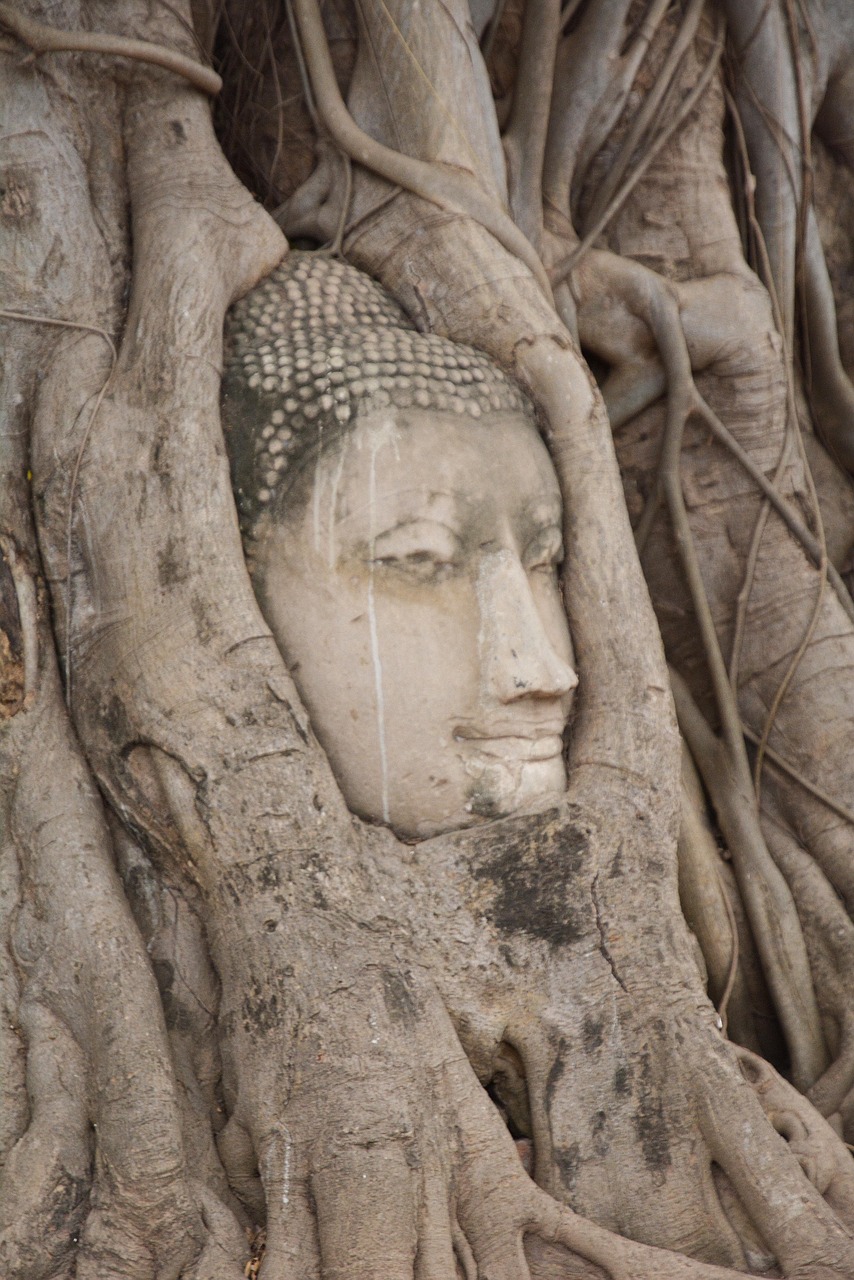Tailandas, Ayutthaya, Budos Galvą, Nemokamos Nuotraukos,  Nemokama Licenzija