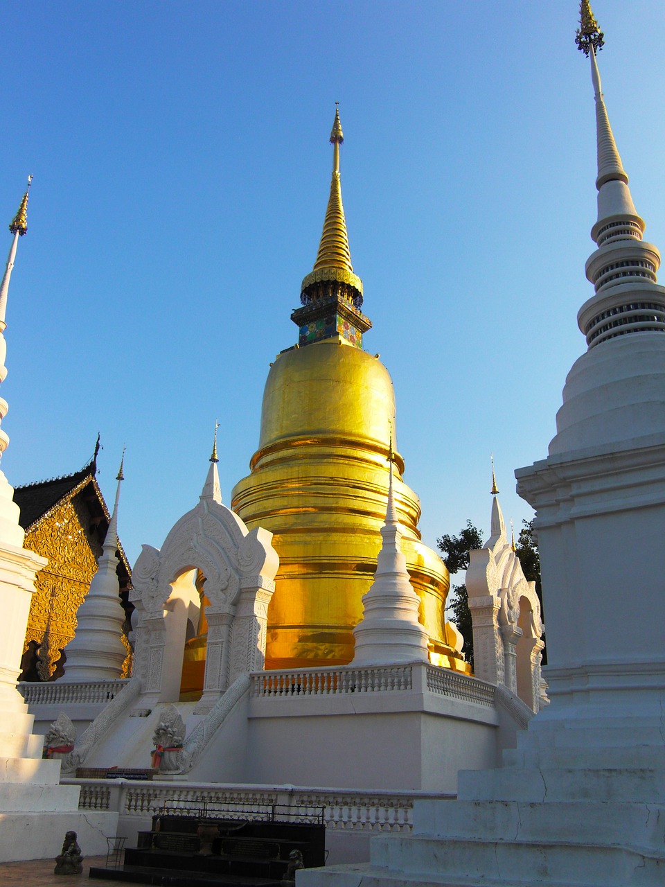 Tailandas, Šventykla, Buda, Auksas, Chiang Mai, Nemokamos Nuotraukos,  Nemokama Licenzija