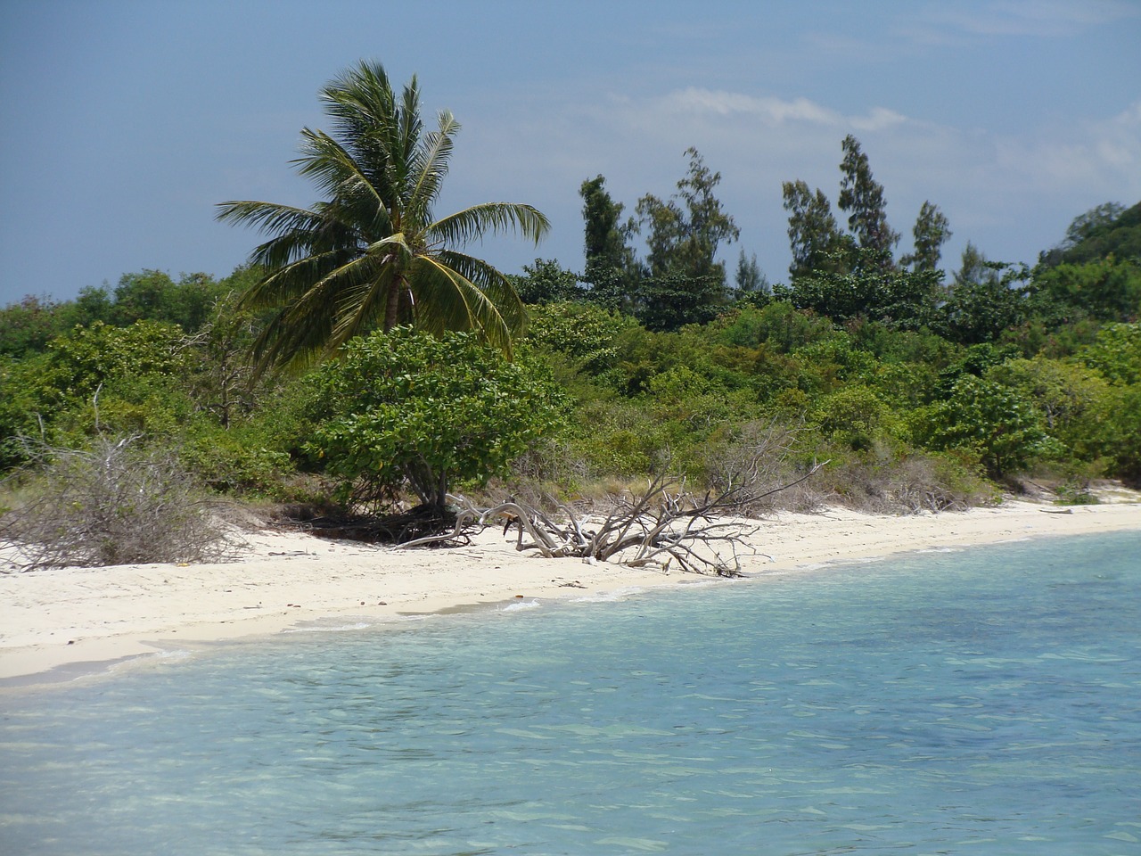 Tailandas, Koh Samui, Sala, Papludimys, Palmės, Jūra, Šventė, Asija, Vanduo, Kranto