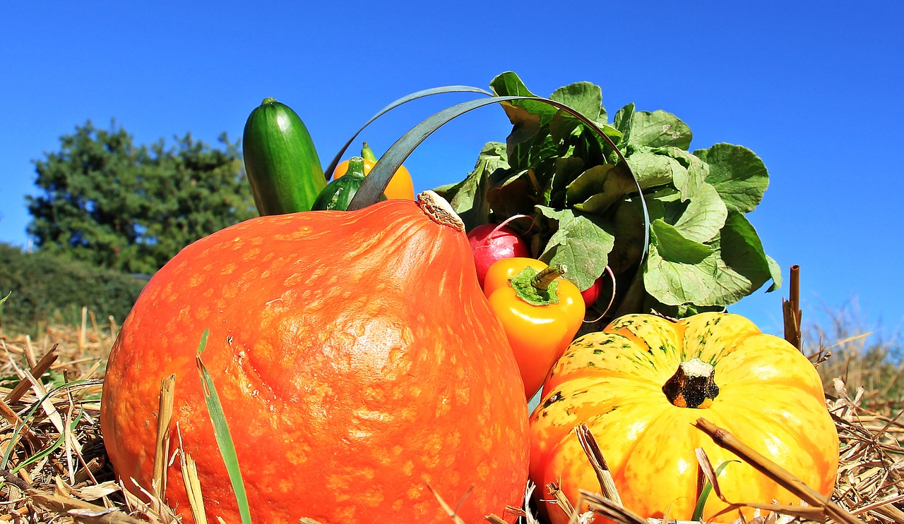 Padėka, Moliūgai, Agurkai, Paprika, Ridikai, Ruduo, Kiškis, Rudens Apdaila, Apdaila, Oranžinė