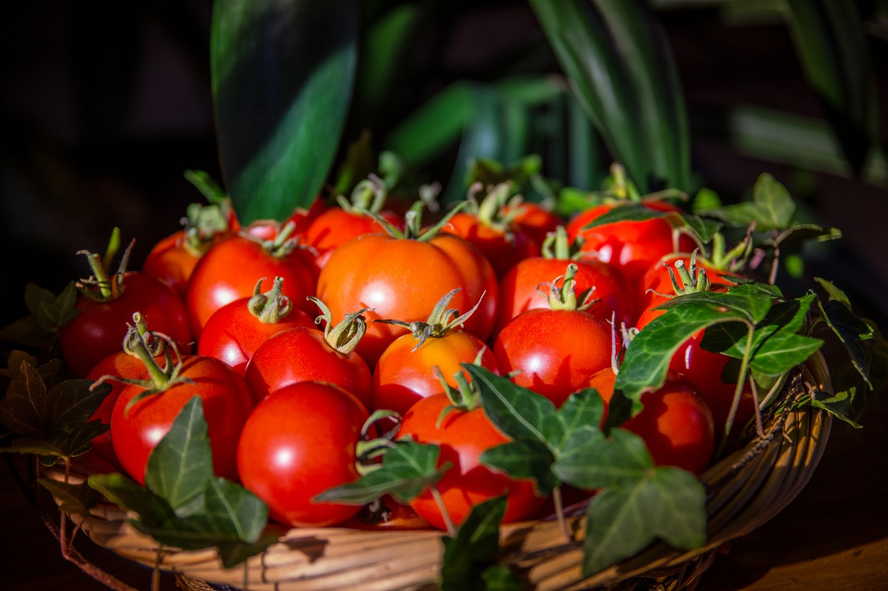 Padėka, Pomidorai, Sveikas, Ruduo, Į Sveikatą, Valgyti, Vitaminai, Derlius, Maistas, Sodas