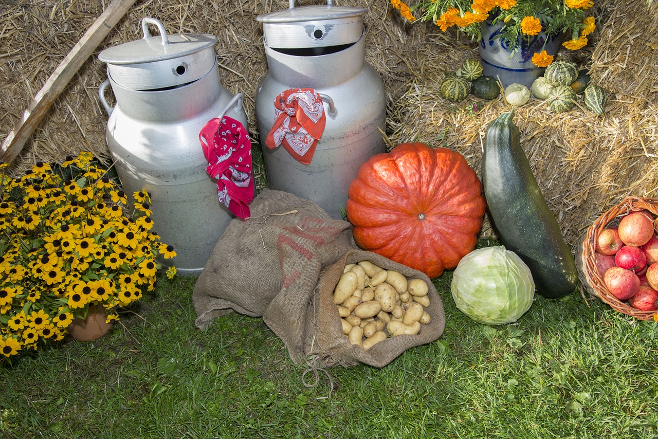 Padėka, Vaisiai, Festivalis, Daržovės, Ruduo, Žemdirbystė, Derlius, Moliūgai, Rudens Apdaila, Spalvinga