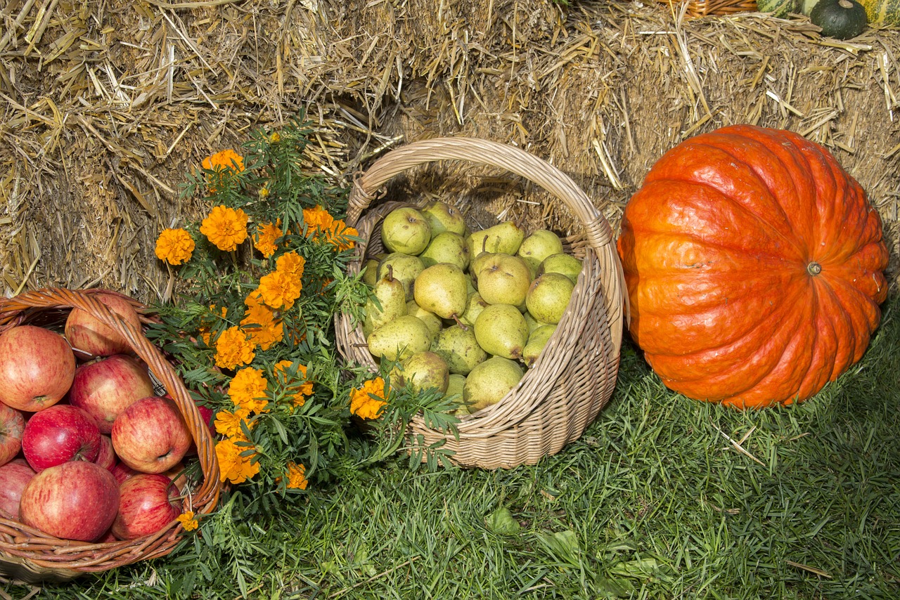 Padėka, Vaisiai, Festivalis, Daržovės, Ruduo, Žemdirbystė, Derlius, Moliūgai, Rudens Apdaila, Spalvinga