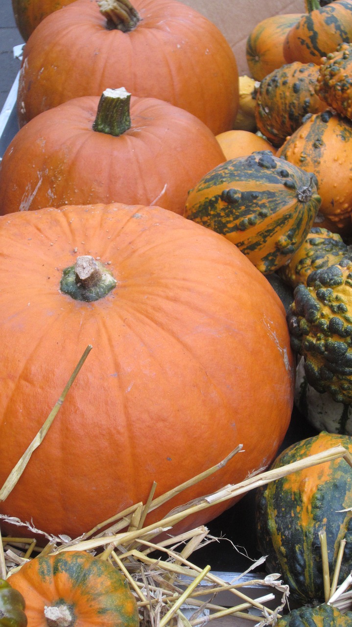 Padėka, Halloween, Moliūgas, Rudens Apdaila, Ruduo, Apdaila, Spalio Mėn, Sezoninis, Moliūgai, Nemokamos Nuotraukos