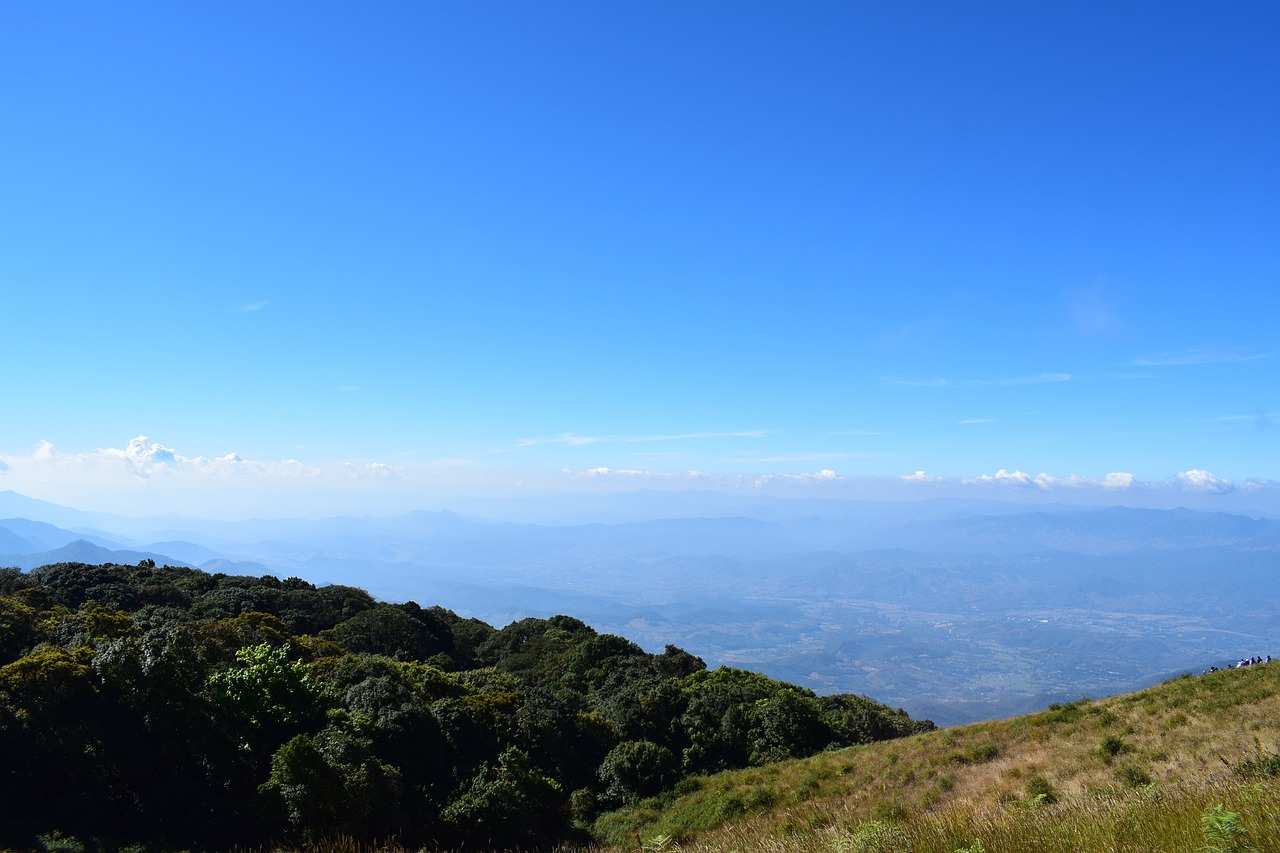 Negu Smeigtukai, Doi Inthanon, Chiang Mai Kew Mae Pan, Nemokamos Nuotraukos,  Nemokama Licenzija