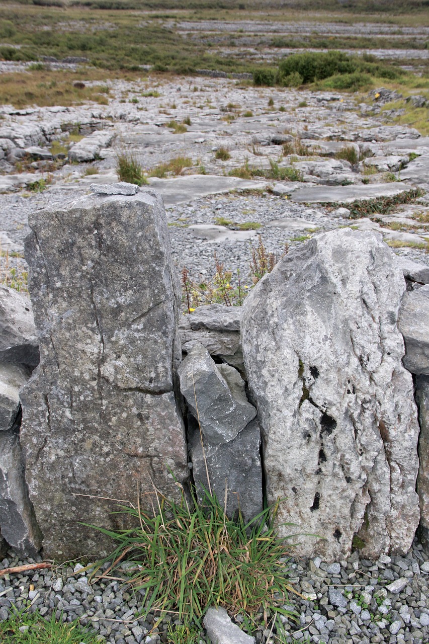 Burrenas, Rokas, Airija, Airiškas, Burren, Kraštovaizdis, Gamta, Clare, Keltų, Peizažas