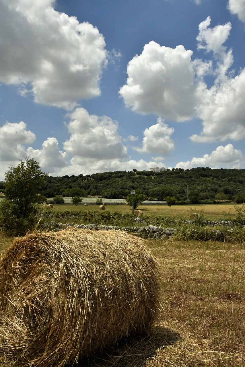 Apulijos Kaimas, Kampanija Barento, Alberobello Kaimai, Šienas, Šieno Ritinys, Nemokamos Nuotraukos,  Nemokama Licenzija