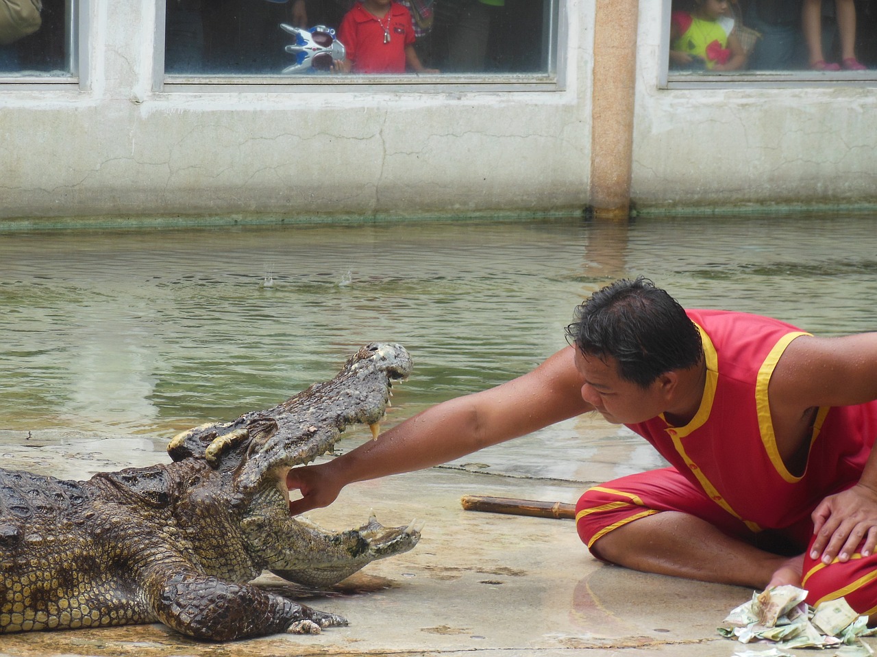 Krokodilų Ūkis, Krokodilų Ūkis, Samut Prakan, Tailandas, Rodyti, Žmonės Su Krokodilais, Atidarytas Praeitą Mėnesį, Dantys, Žandikauliai, Triukas