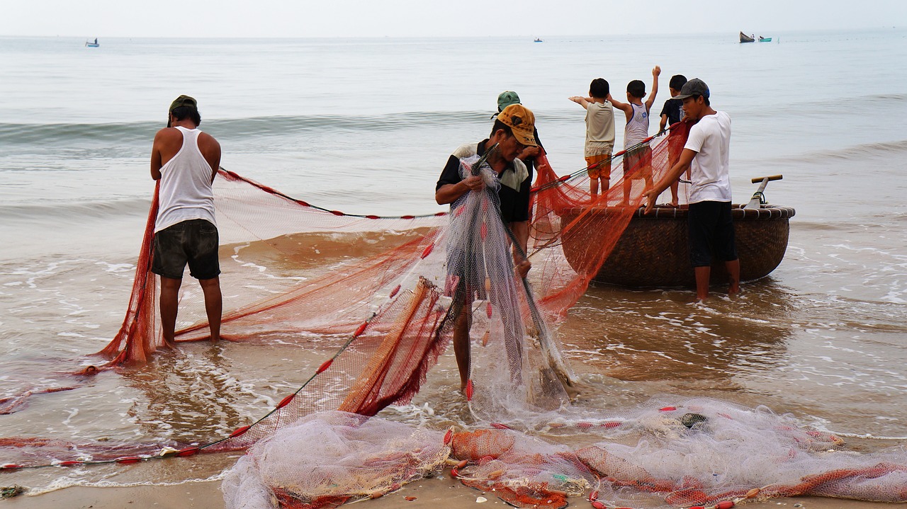 Žvejų Kaimelis, Drag-Net, Žmonės, Gyvenimas, Vietnamas, Nemokamos Nuotraukos,  Nemokama Licenzija