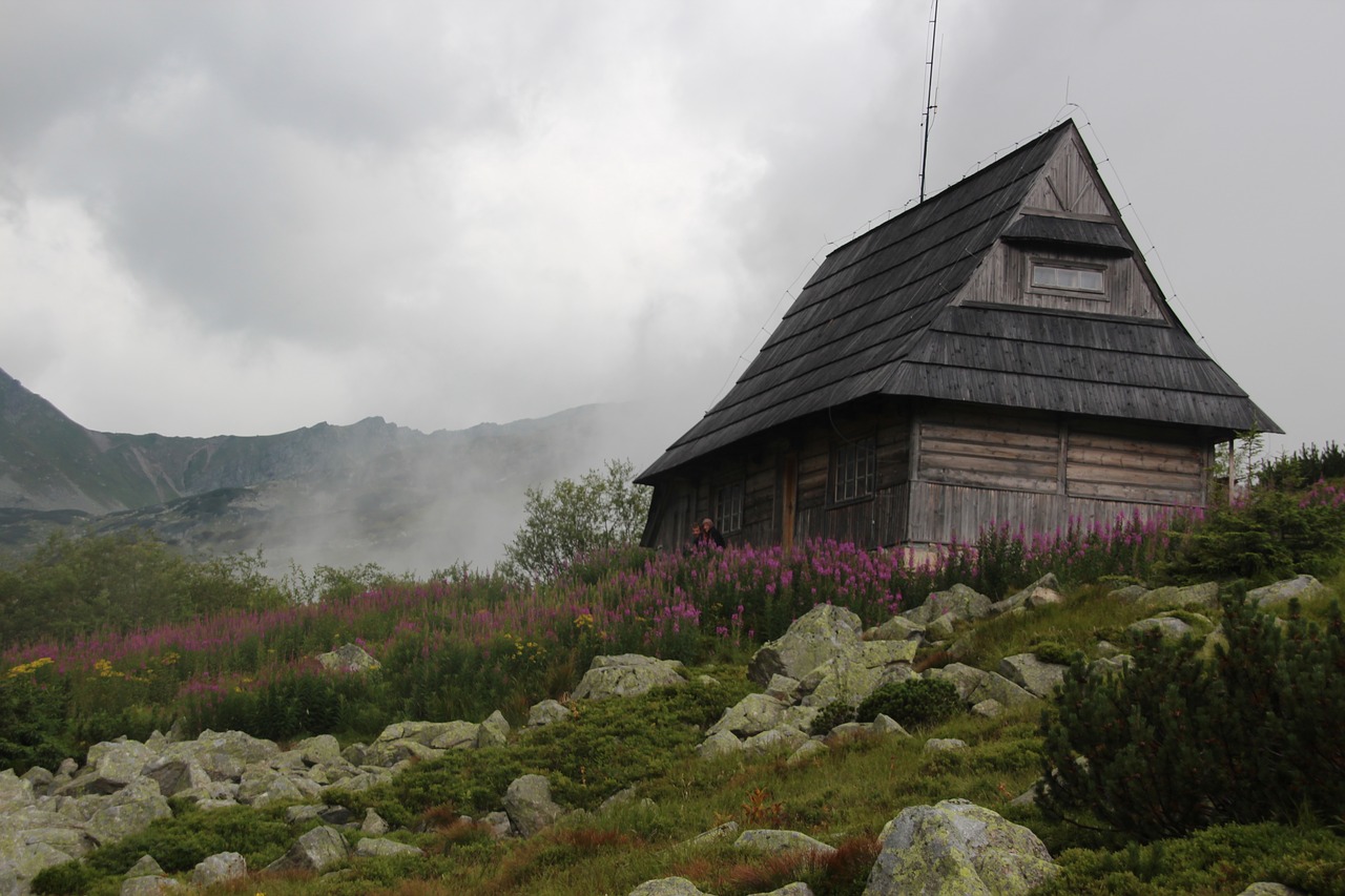 Rūkas, Tatry, Kalnai, Kraštovaizdis, Aušra, Gamta, Lenkija, Aukštas Tatras, Ryto Migla, Nemokamos Nuotraukos