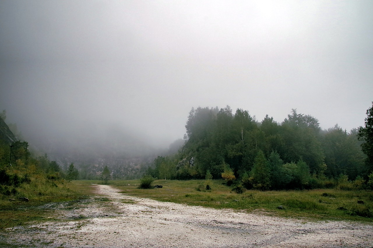 Rūkas, Miškas, Kalnai, Medis, Pušis, Eglė, Kraštovaizdis, Gamta, Migla, Alpinizmas