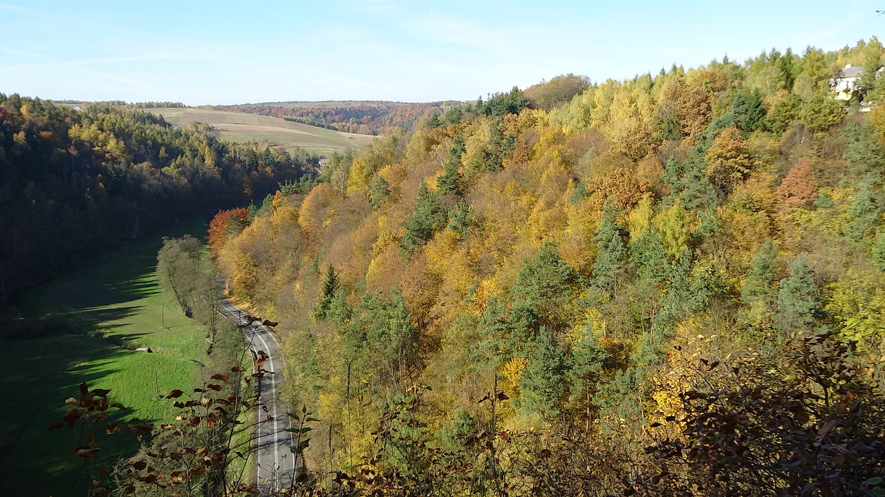 Steigėjų Tėvai, Lenkija, Nacionalinis Parkas, Kraštovaizdis, Ruduo, Medis, Nemokamos Nuotraukos,  Nemokama Licenzija