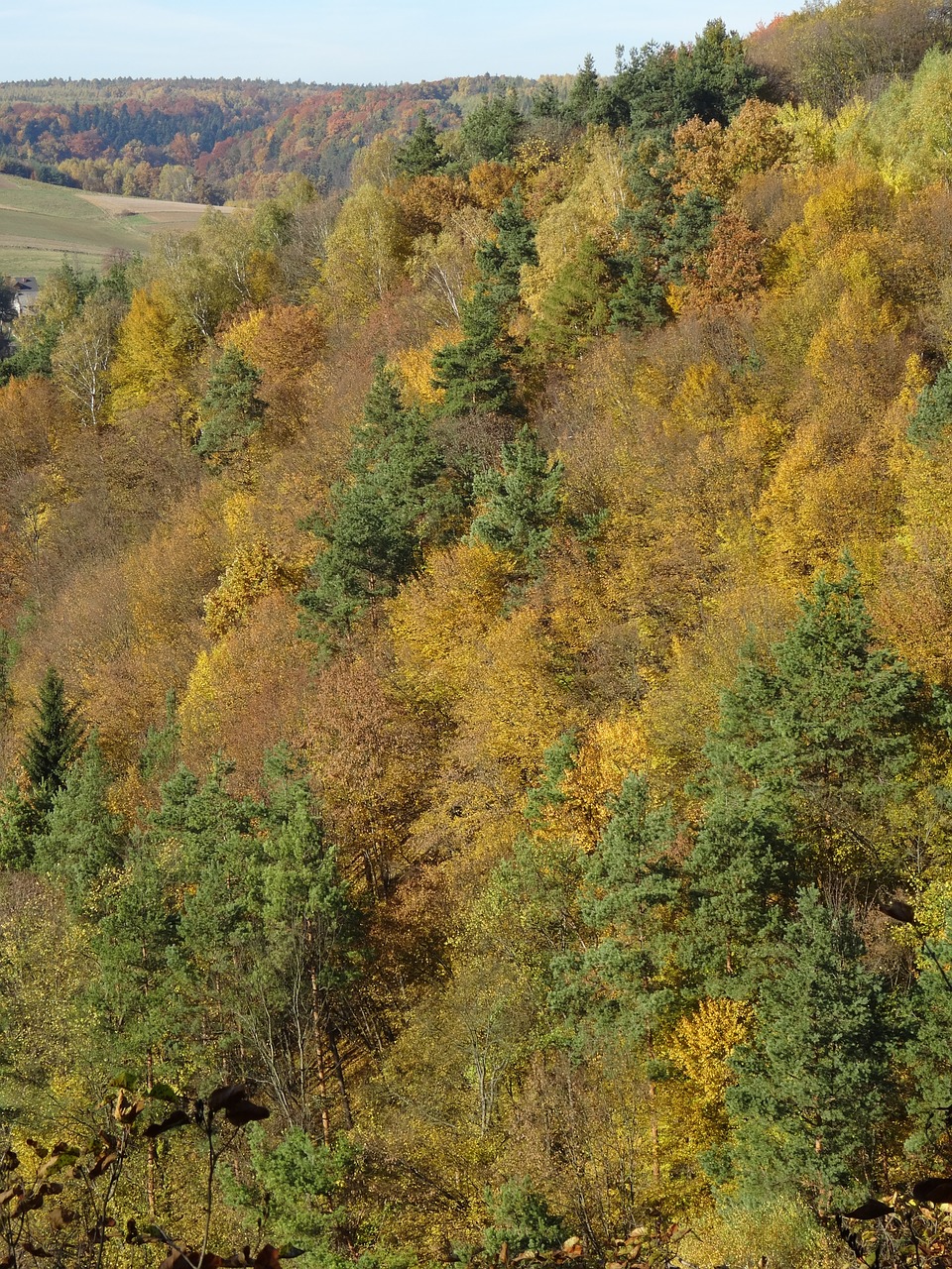 Steigėjų Tėvai, Lenkija, Nacionalinis Parkas, Kraštovaizdis, Ruduo, Medis, Nemokamos Nuotraukos,  Nemokama Licenzija