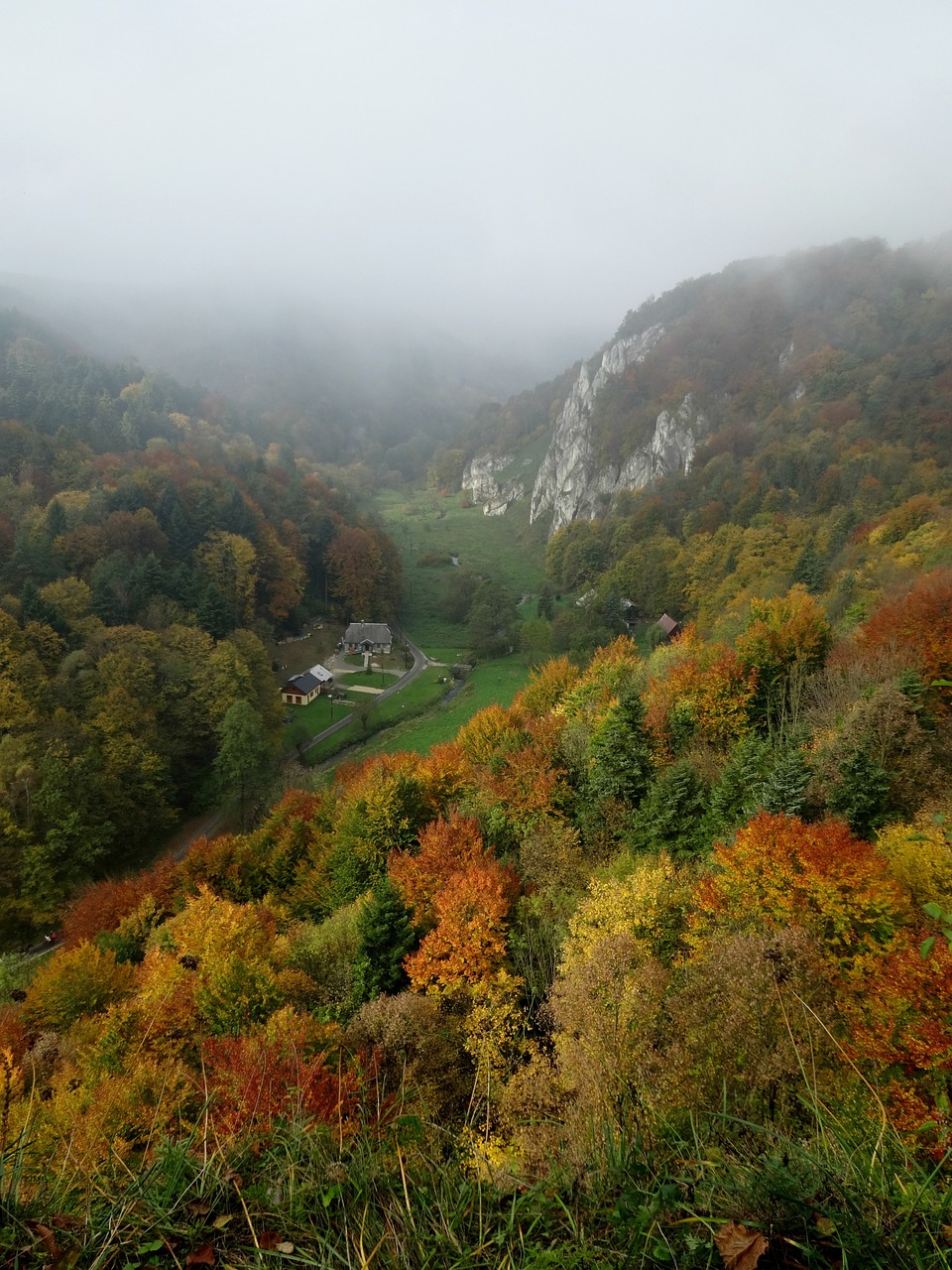 Steigėjų Tėvai, Nacionalinis Parkas, Kraštovaizdis, Ruduo, Akmenys, Gamta, Lapija, Neryškus, Nemokamos Nuotraukos,  Nemokama Licenzija