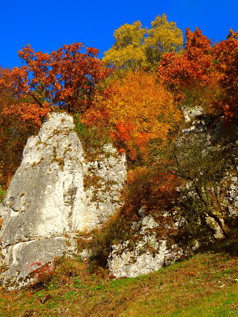 Steigėjų Tėvai, Lenkija, Gamta, Kraštovaizdis, Nacionalinis Parkas, Ruduo, Akmenys, Medis, Lapija, Nemokamos Nuotraukos