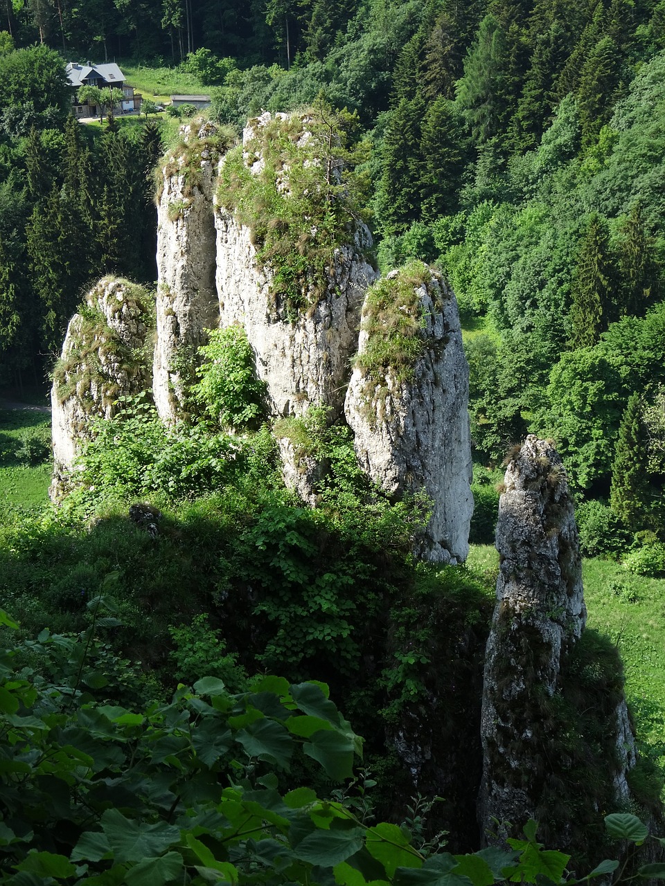 Steigėjų Tėvai, Lenkija, Roko Pirštinės, Kraštovaizdis, Nacionalinis Parkas, Nemokamos Nuotraukos,  Nemokama Licenzija