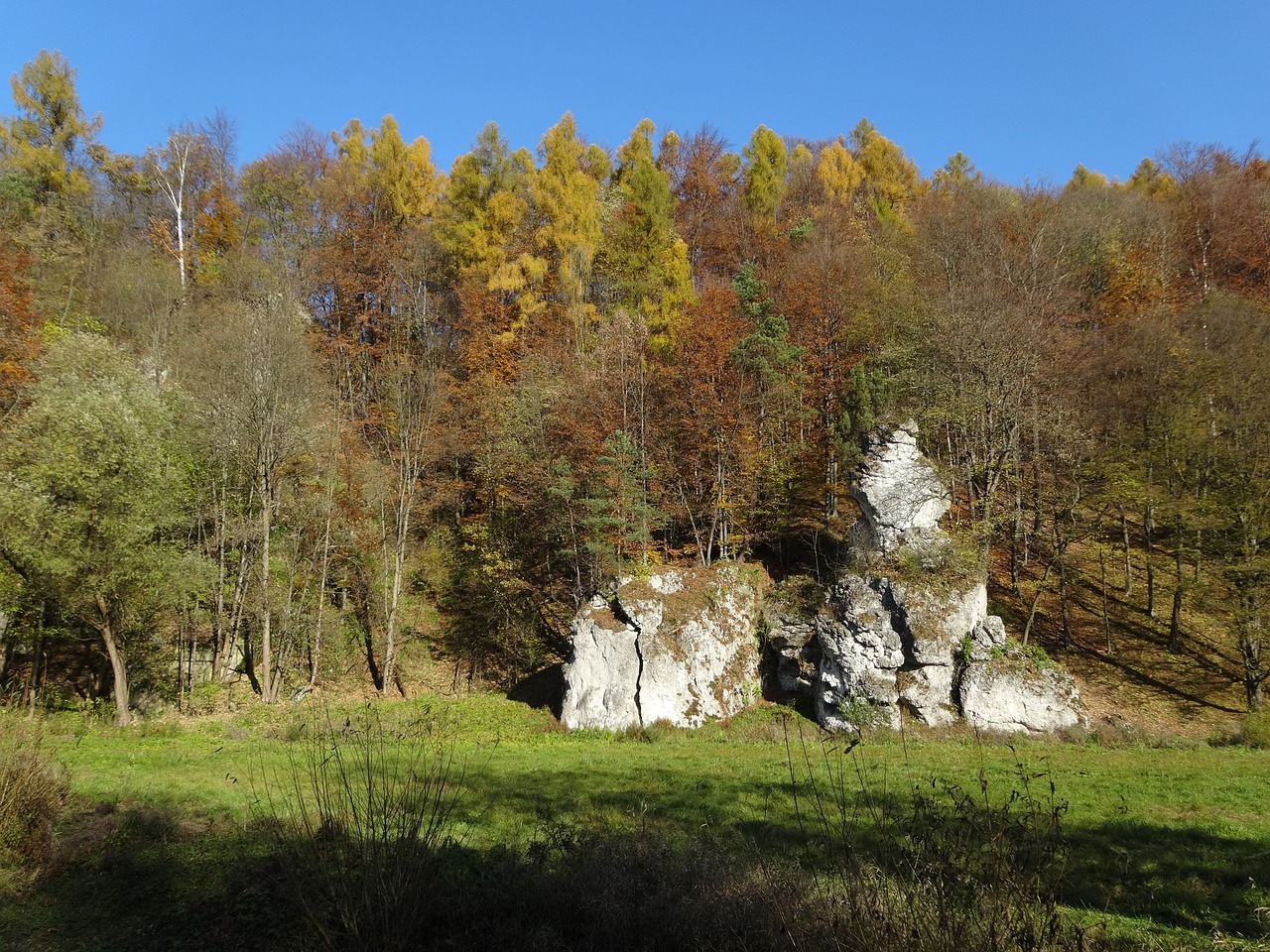 Steigėjų Tėvai, Lenkija, Nacionalinis Parkas, Kraštovaizdis, Rokas, Gamta, Ruduo, Nemokamos Nuotraukos,  Nemokama Licenzija