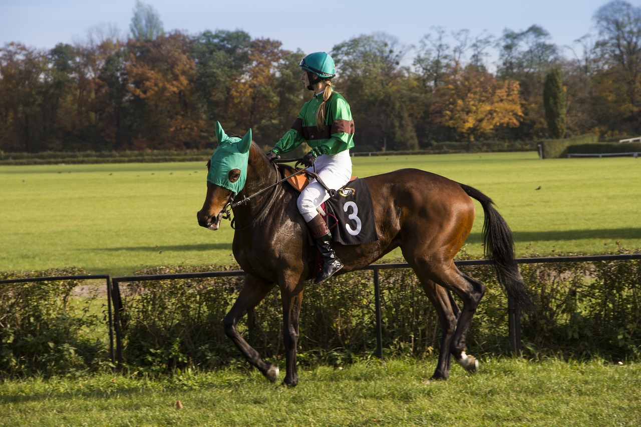 Arklys, Arklys, Gyvūnas, Lenktynės, Jockey, Nemokamos Nuotraukos,  Nemokama Licenzija