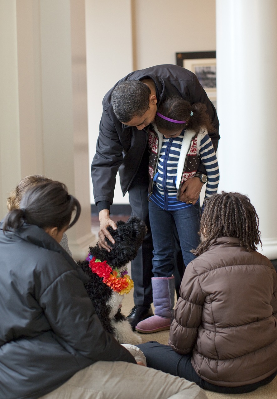 Dent Tentative name fellowship Obamos šeima,sveikina bo,šuniukas 6 mėnesiai,portugalų vandens šuo,mielas -  nemokamos nuotraukos. Mediakatalogas.lt