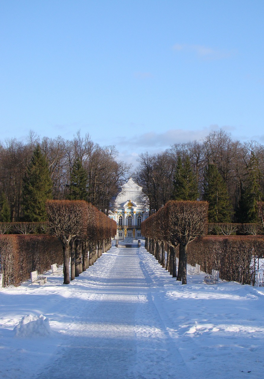 Rūmų Ansamblis Tsarskoe Selo, Rusija, Alėja, Rūmai, Medžiai, Šešėlis, Žiema, Kelias, Sniegas, Nemokamos Nuotraukos