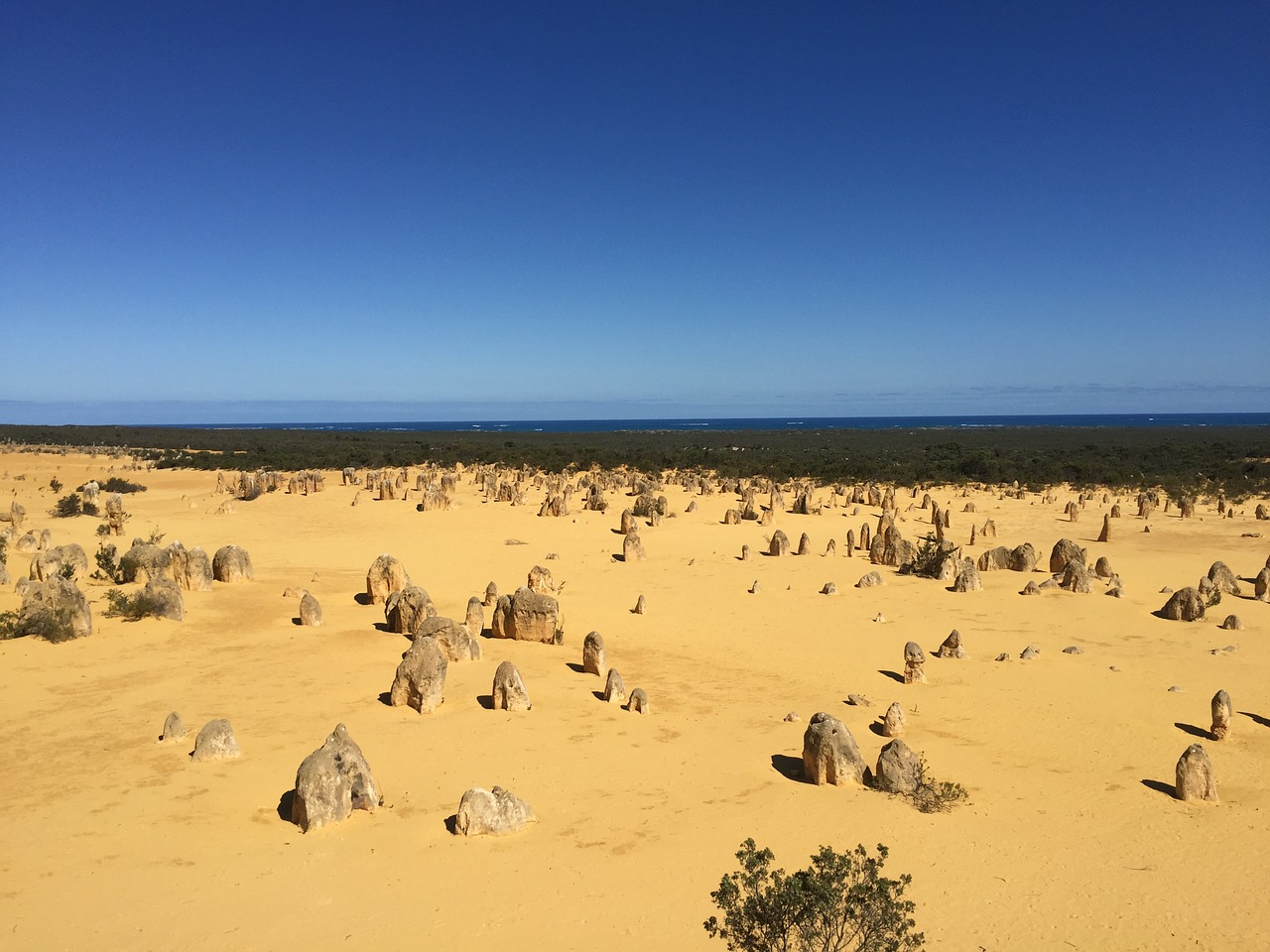 Pinnacles, Australia, Nambungo Nacionalinis Parkas, Dykuma, Smėlio Kopa, Rokas, Kalkakmenis, Formavimas, Kraštovaizdis, Cervantes