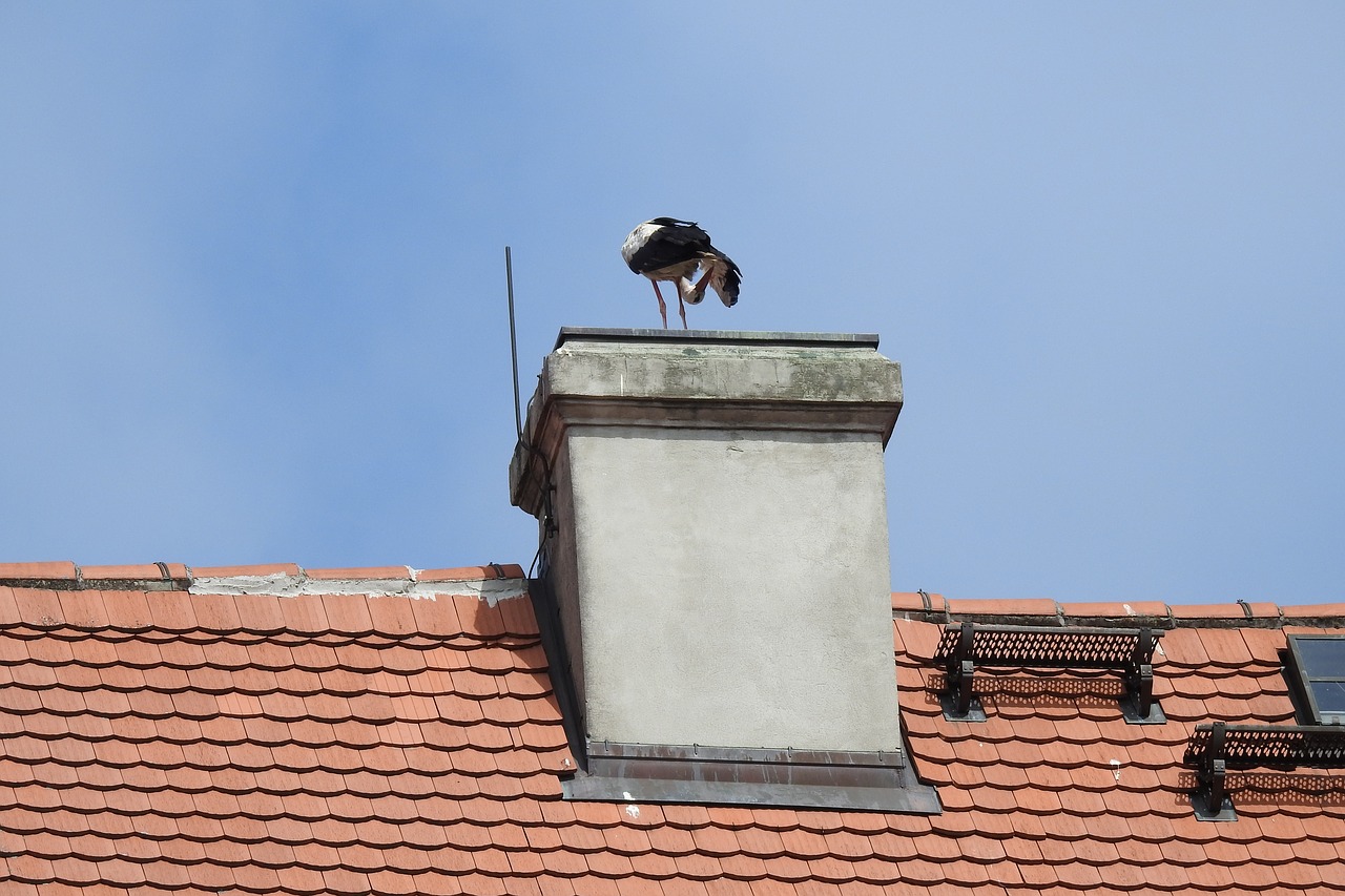 Stogo,  Kaminas,  Gandras Lizdą,  Gandras Lizde,  Vasara,  Dangus,  Namas,  Plytelių,  Laimė, Nemokamos Nuotraukos