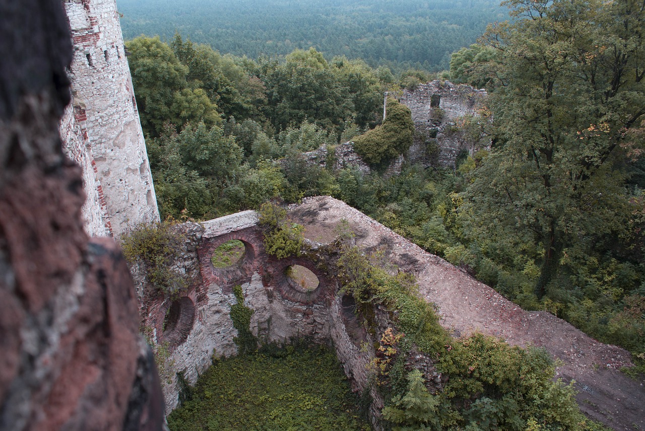 Griuvėsiai, Pilis, Vaizdas, Sienos, Paminklas, Turizmas, Ežero Dusia, Kiemas, Architektūra, Nemokamos Nuotraukos