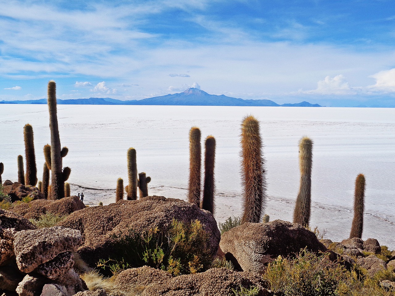 Salar De Uyuni, Uyuni, Druskos Dykuma, Kaktusai, Bolivija, Nemokamos Nuotraukos,  Nemokama Licenzija