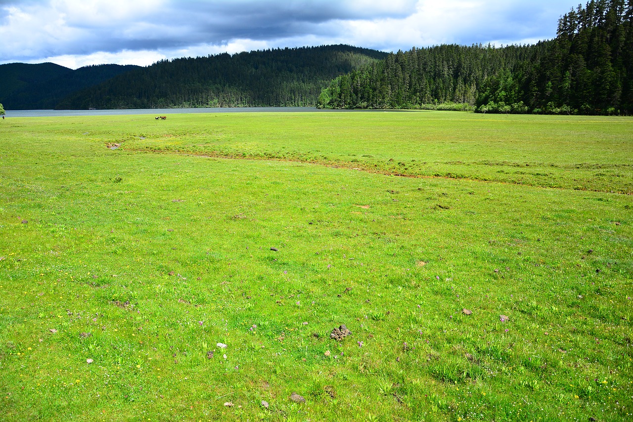 Kraštovaizdis, Shangri-La, Pudacuo, Kompiuterio Tapetai, Nemokamos Nuotraukos,  Nemokama Licenzija