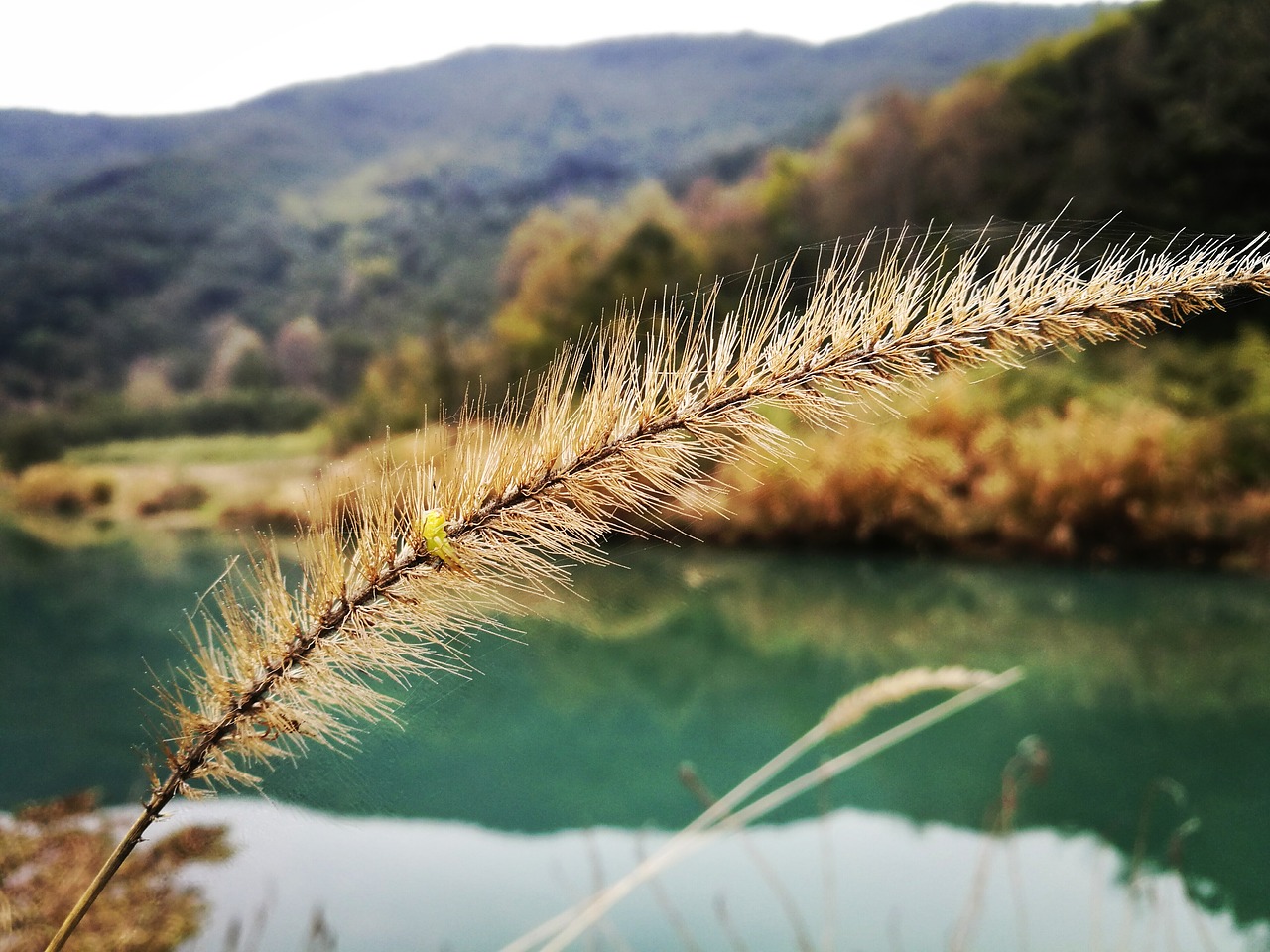 Kraštovaizdis, Fotografija, Mito, Nemokamos Nuotraukos,  Nemokama Licenzija