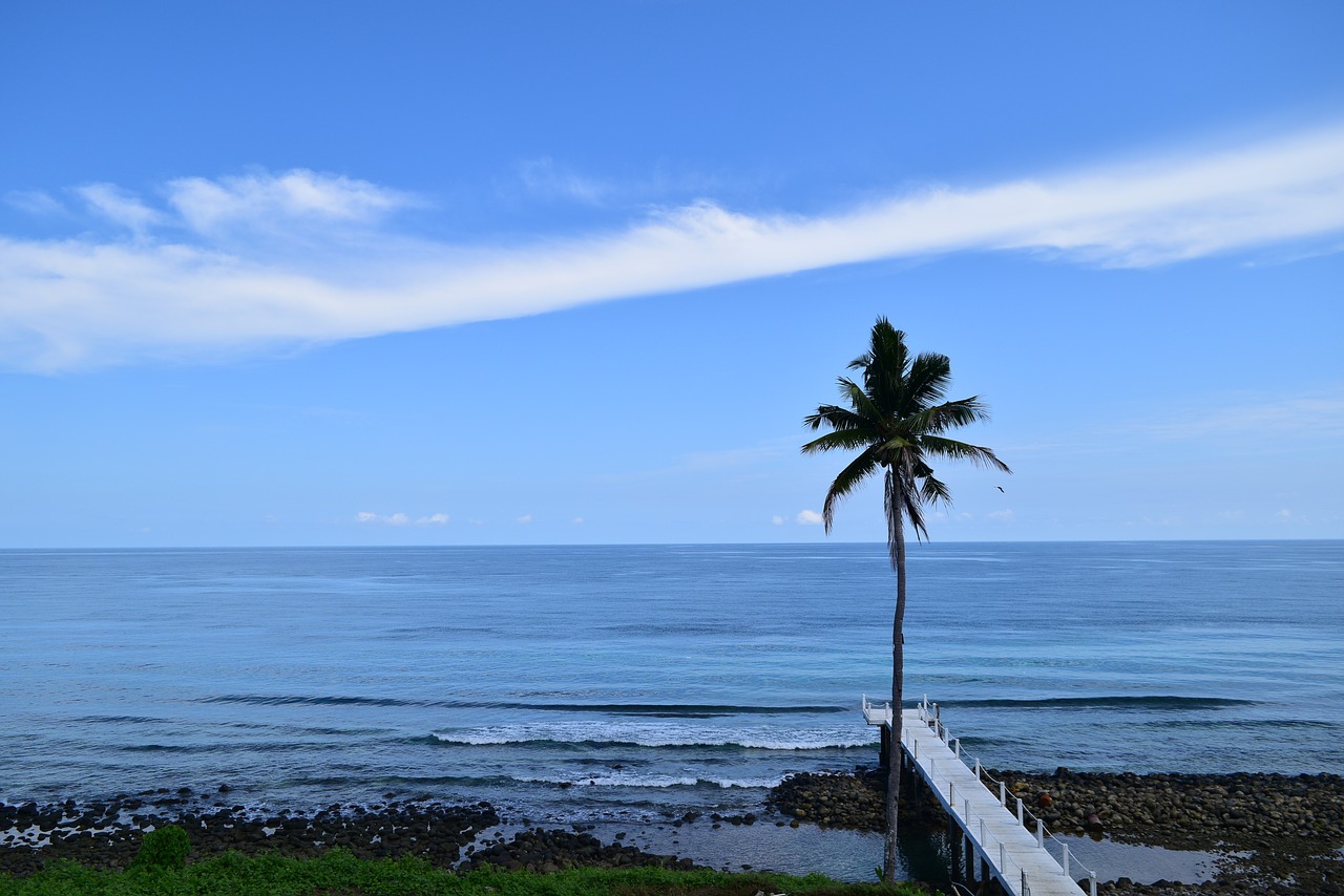 Jūra, Kokoso Medžiai, Mėlynas Dangus, Nemokamos Nuotraukos,  Nemokama Licenzija