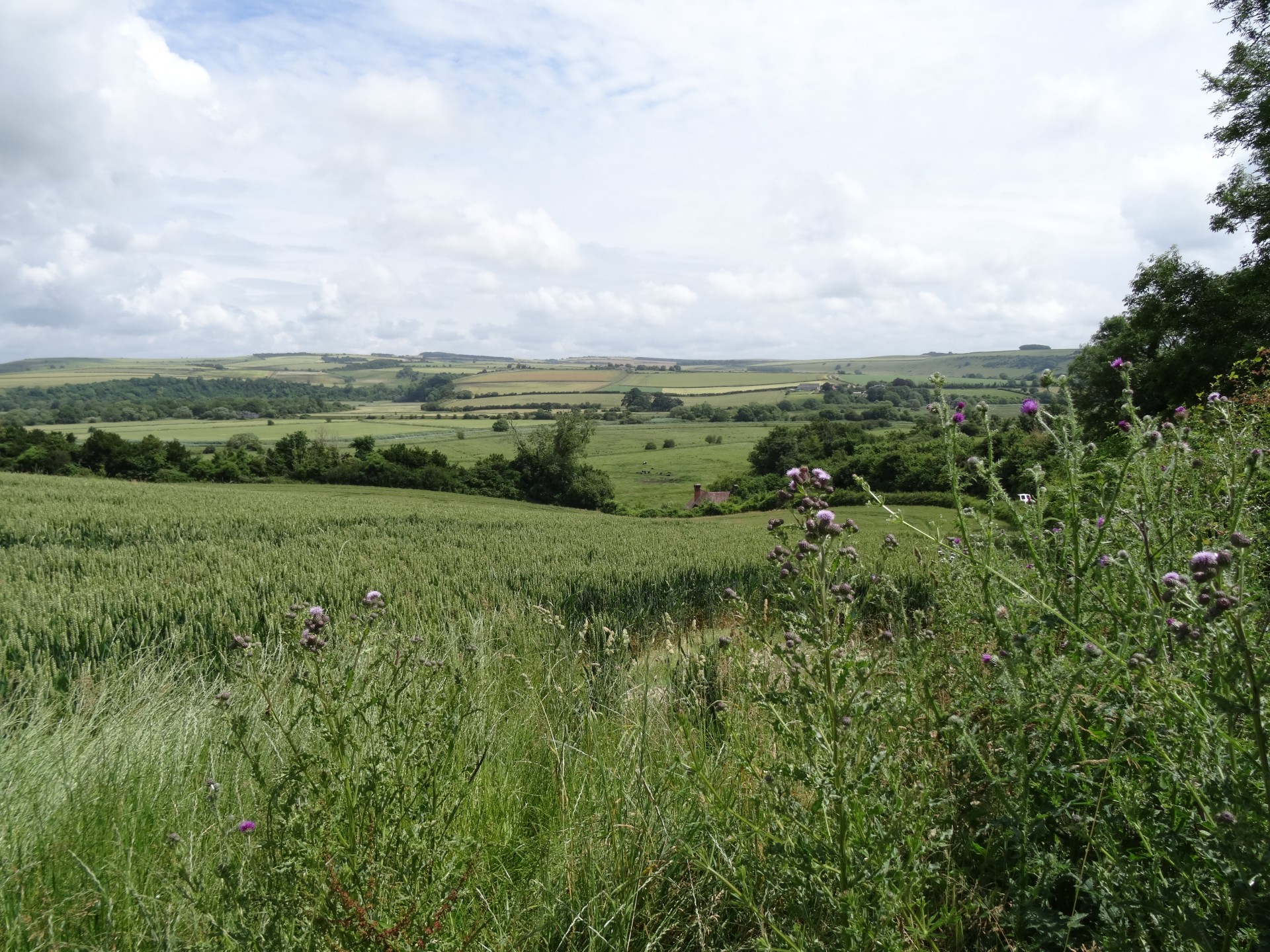 Southdowns,  Kraštovaizdis,  Anglų & Nbsp,  Kraštovaizdis,  Southdowns, Nemokamos Nuotraukos,  Nemokama Licenzija