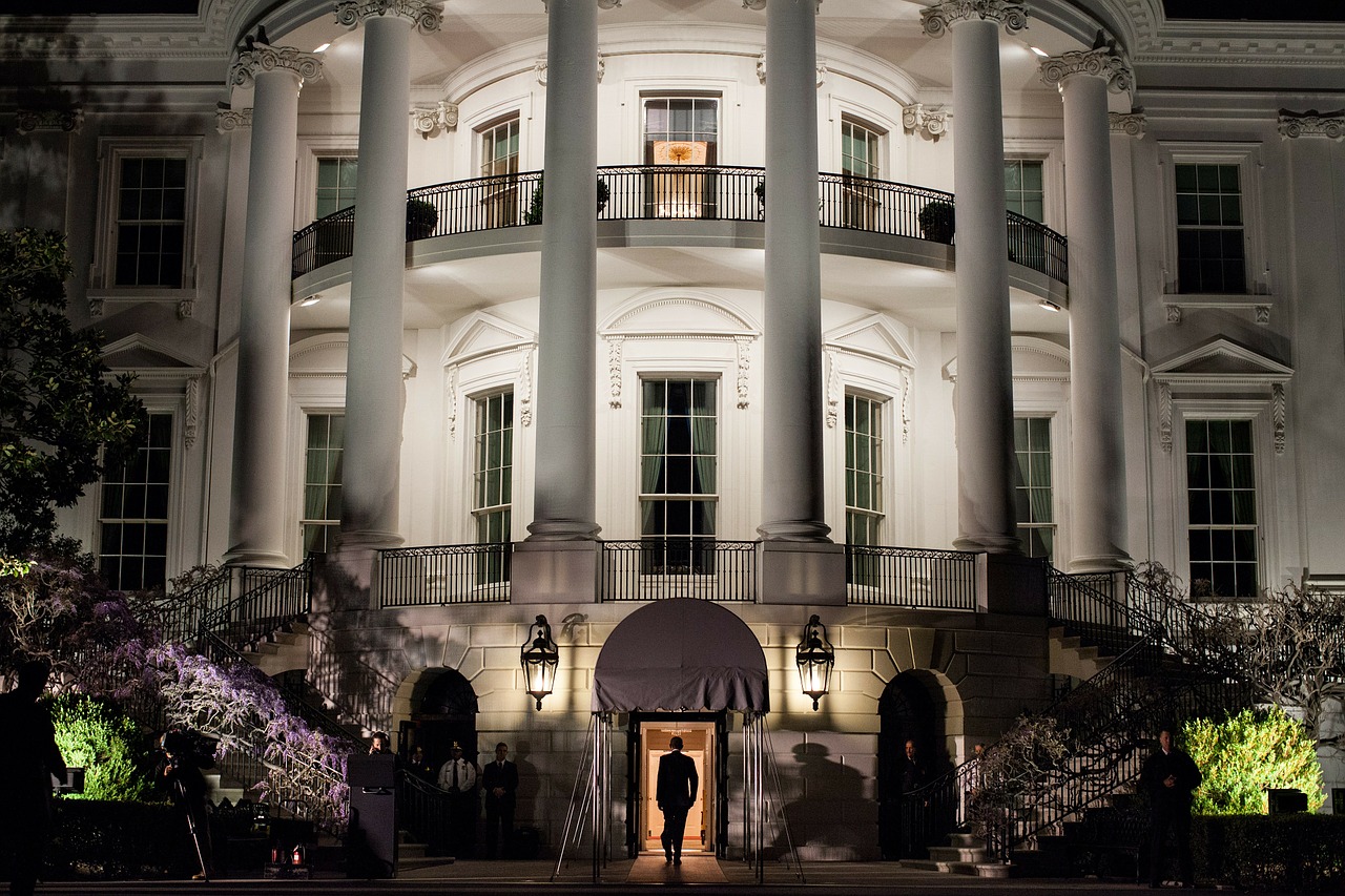 Baltieji Rūmai, Vašingtonas, Orientyras, Istorinis, Istorinis, Prezidentas Obama, Portika, Stulpeliai, Architektūra, Naktis