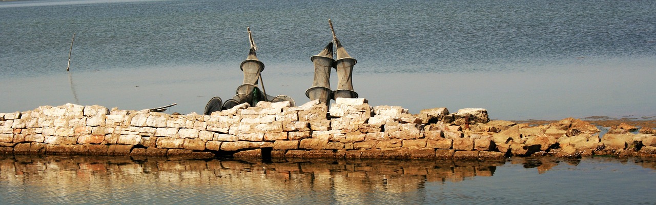 Trys, Žuvų Gaudyklė, Paskalos, Vanduo, Žuvis, Abendstimmung, Tinklas, Nemokamos Nuotraukos,  Nemokama Licenzija