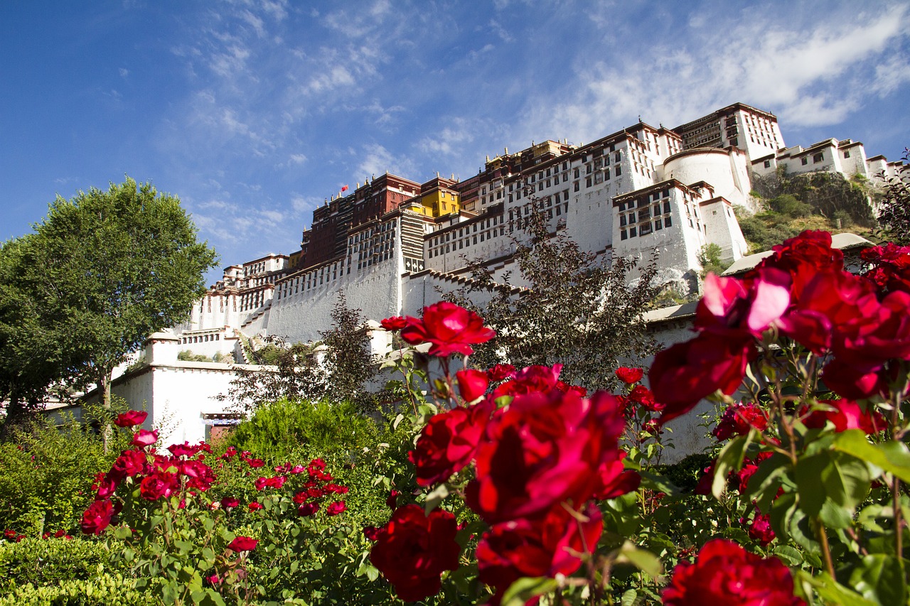 Tibetas, Nesprendžiamas, Grynas, Nemokamos Nuotraukos,  Nemokama Licenzija