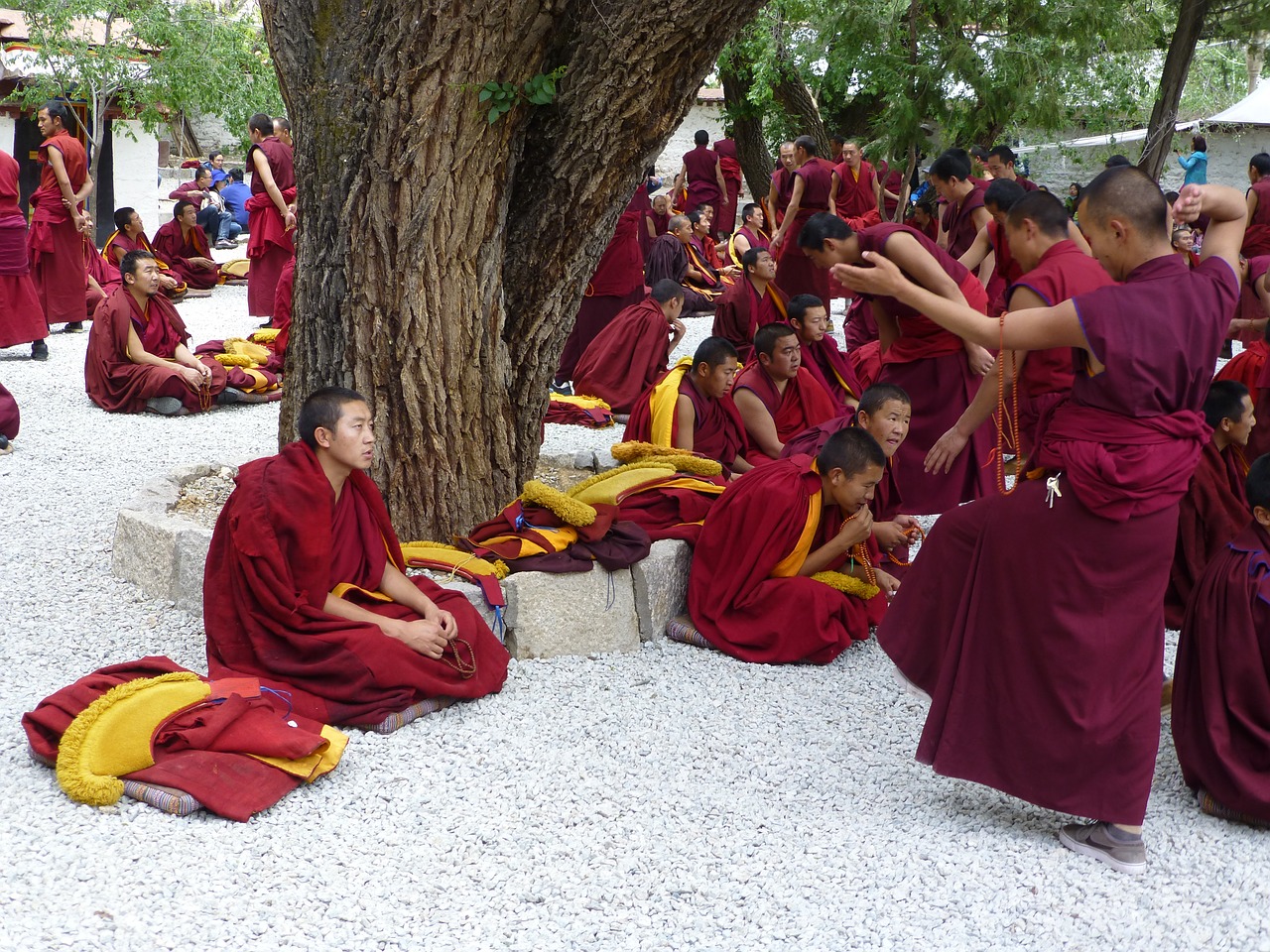 Tibetas, Serų Vienuolynas, Jhasa, Gelugpa, Debatų Sesija, Serumai, Budizmas, Budistinis, Lama, Galug