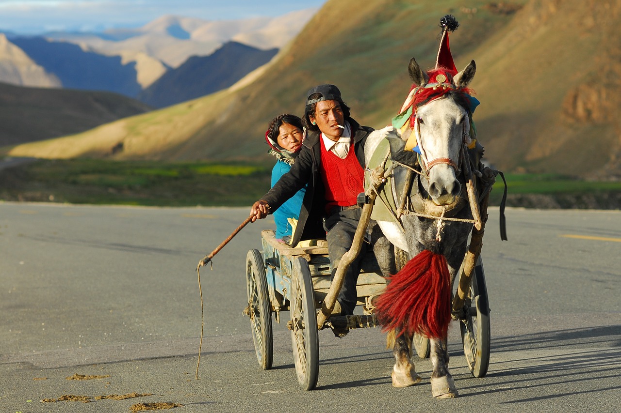 Tibetas, Transportas, Kraštovaizdis, Treneris, Nemokamos Nuotraukos,  Nemokama Licenzija