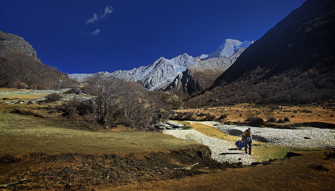 Tibetietis, Inagi, Kelyje Jūrų Pienas, Nemokamos Nuotraukos,  Nemokama Licenzija