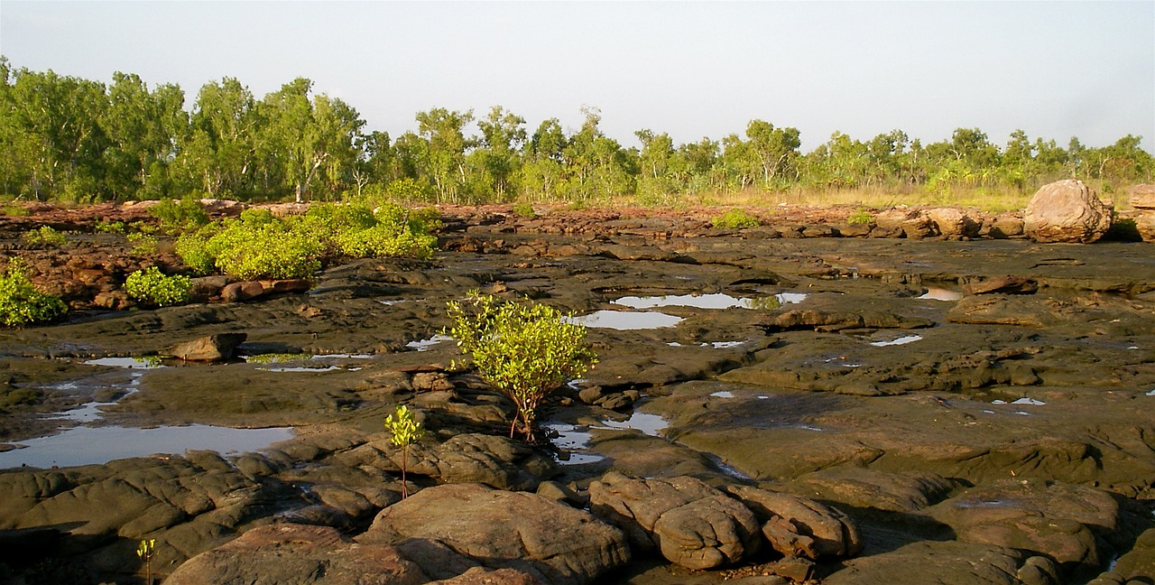 Potvynių Riedulys, Kimberly Rangers, Atogrąžų, Kraštovaizdis, Australia, Nemokamos Nuotraukos,  Nemokama Licenzija