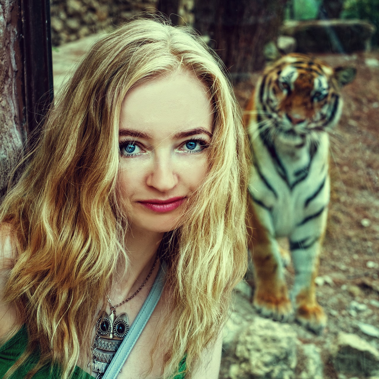 Tigras, Tigras, Zoologijos Sodas, Safari, Mergaitė, Modelis, Vaizdas, Akys, Safario Parkas, Gyvūnai