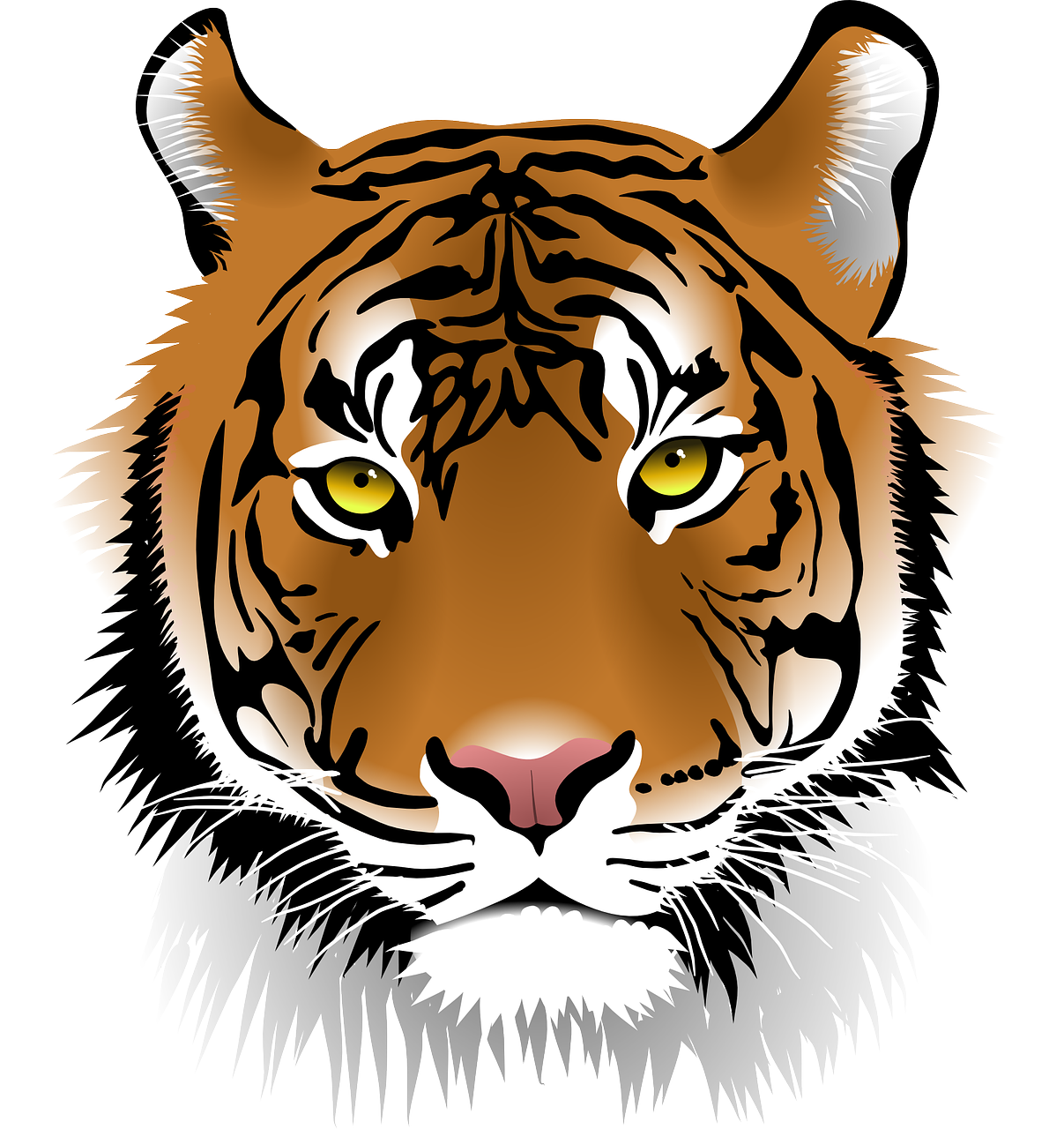 Tigras, Sumatrano Tigras, Laukinė Gamta, Žmogus-Eateras, Wildcat, Katė, Plėšrūnas, Mėsėdis, Žinduolis, Laukiniai