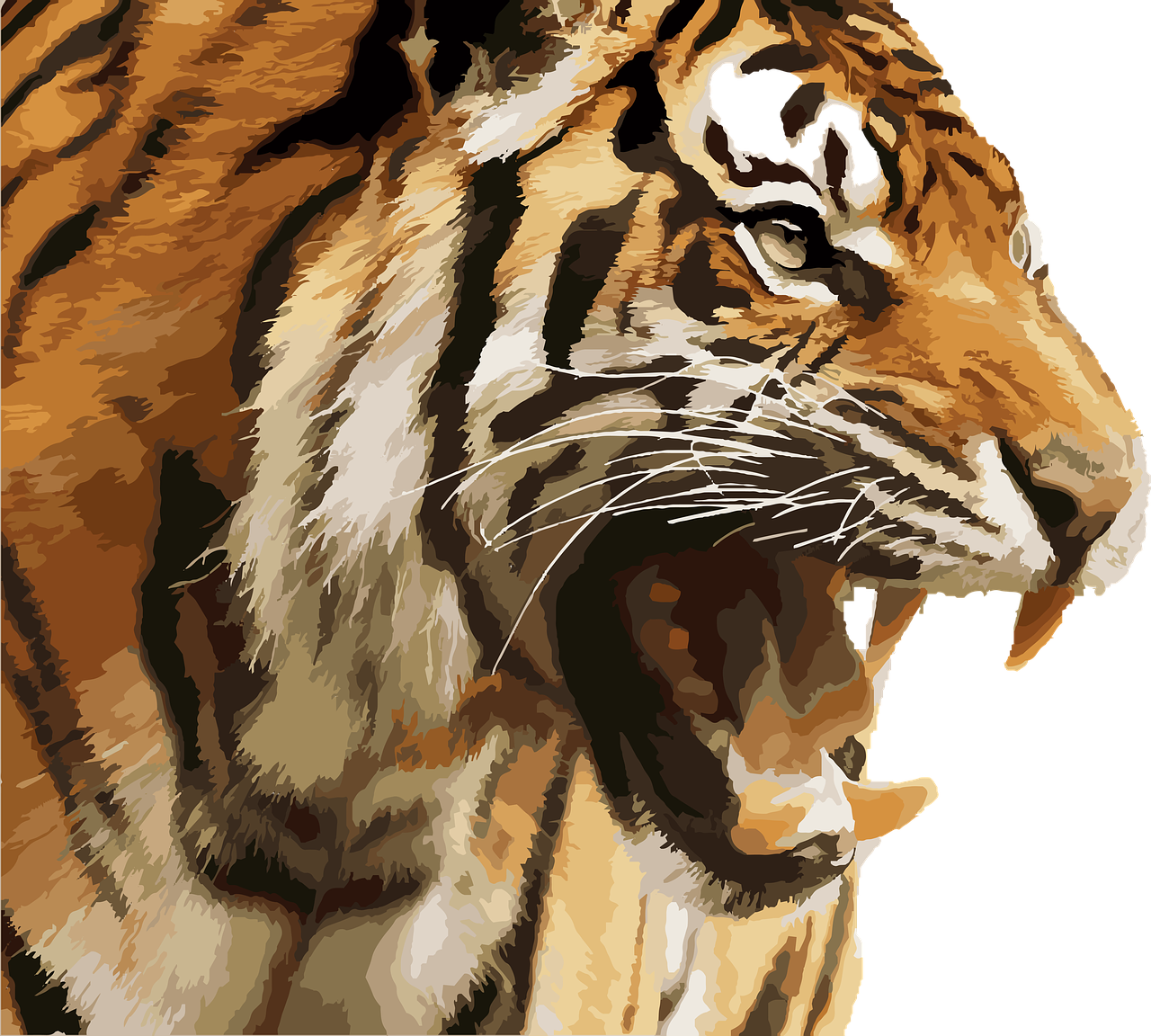 Tigras, Karališkasis Tigras, Nacionalinis Parkas, Džiunglės, Plėšrūnas, Laukiniai, Karališkasis, Indija, Laukinė Gamta, Žinduolis