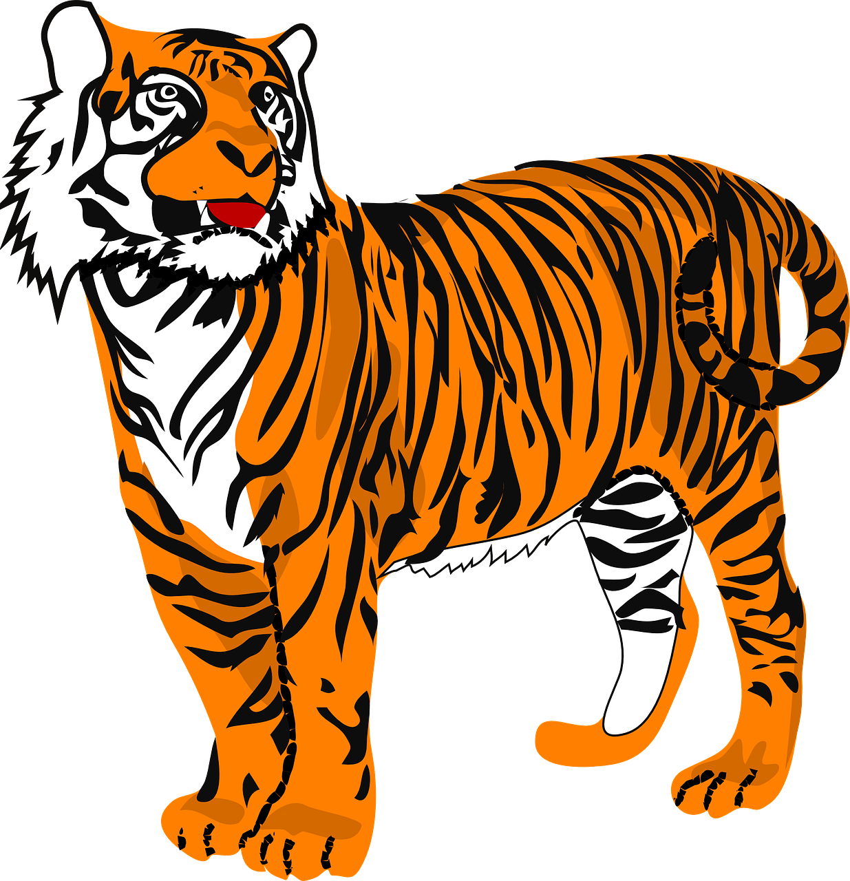 Tigras, Katė, Gyvūnas, Pavojus, Laukinė Gamta, Oranžinė, Juoda, Balta, Stovėti, Galia