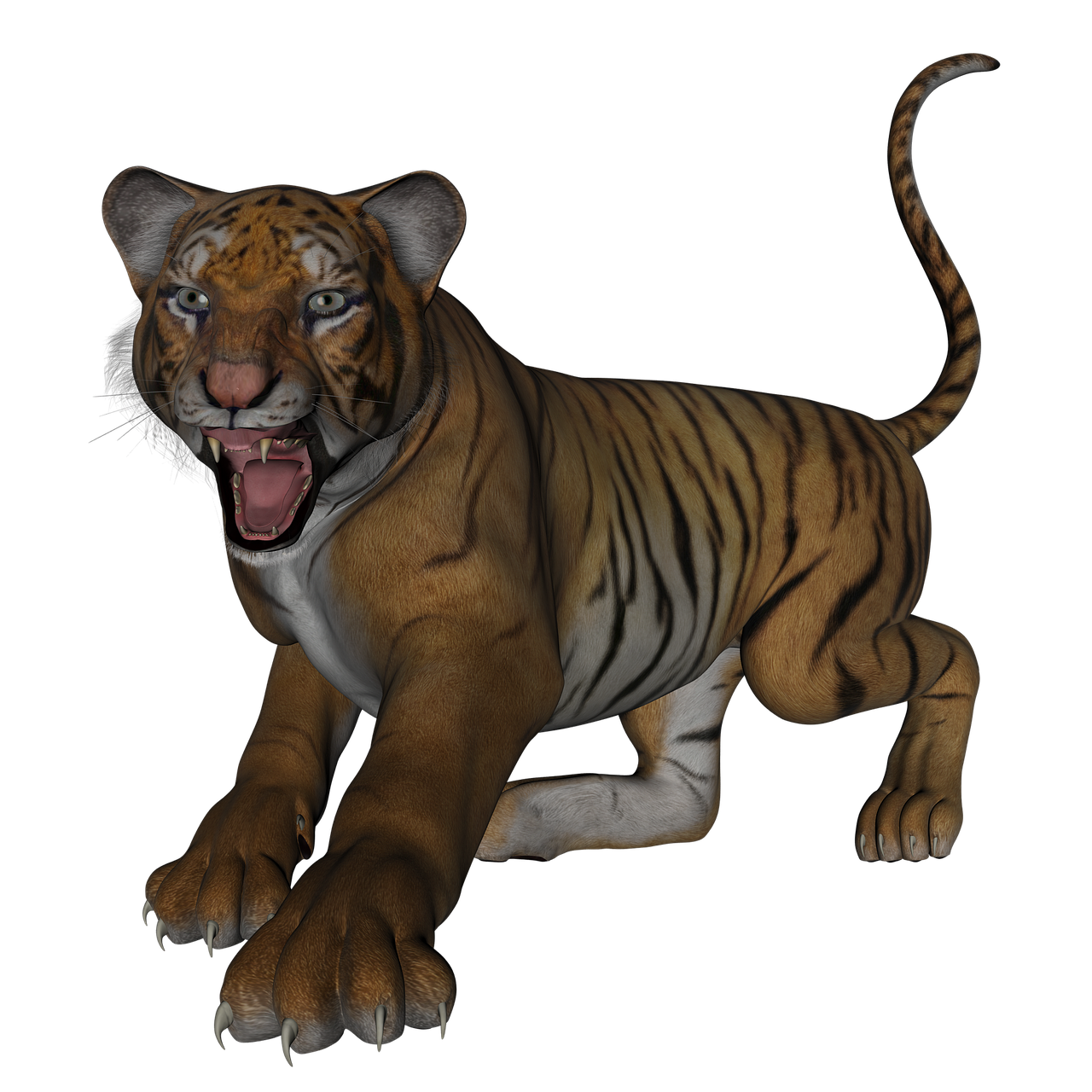 Tigras,  Didelė Katė,  Katė,  Plėšrūnas,  Wildcat,  Бенгальский,  Kačių,  Gyvūnas,  3D,  Padengti