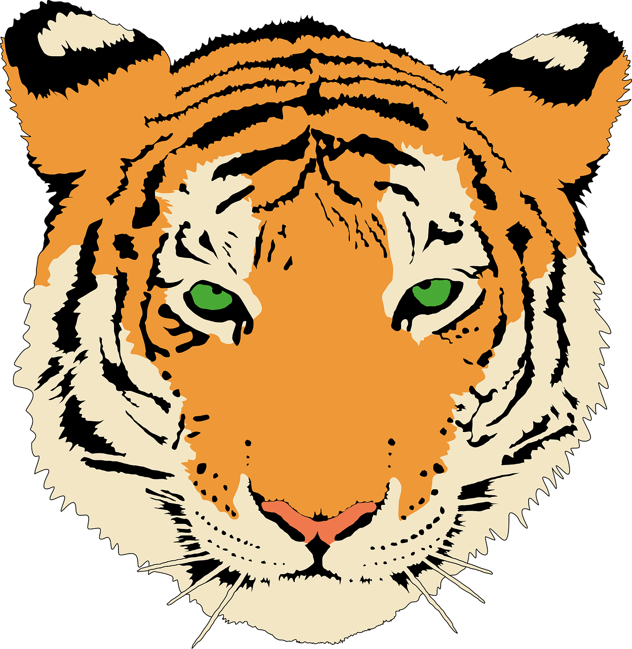 Tigras, Galva, Kačių, Laukinė Gamta, Žinduolis, Gyvūnas, Katė, Plėšrūnas, Pavojingas, Wildcat