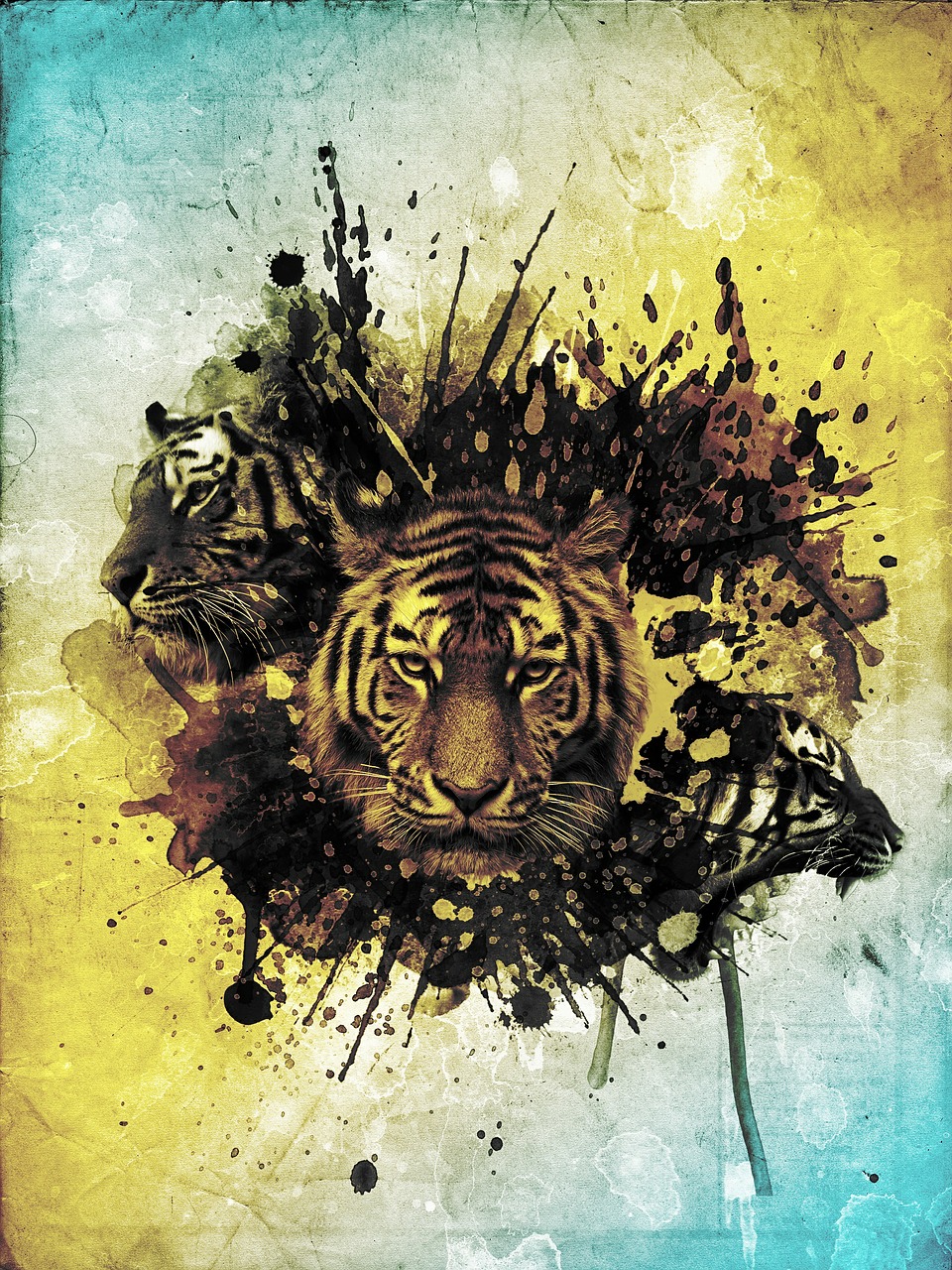 Tigras, Abstraktus, Photoshop, Koliažas, Wildcat, Nemokamos Nuotraukos,  Nemokama Licenzija