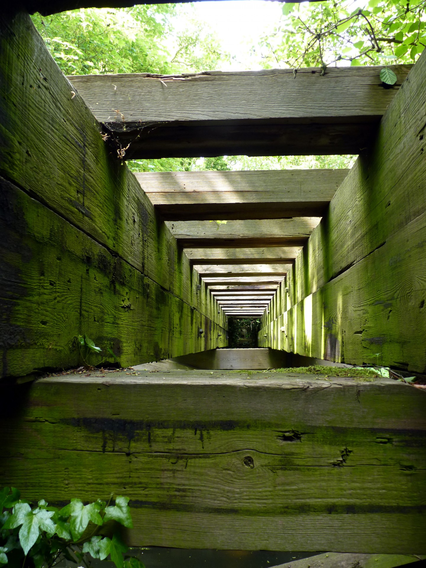 Medienos Viadukas,  Viadukas,  Essex,  Uk,  Anglija,  Senoji Geležinkelio Linija,  Išnaudotas Geležinkelis,  Geležinkelis,  Geležinkelio & Nbsp,  Linija